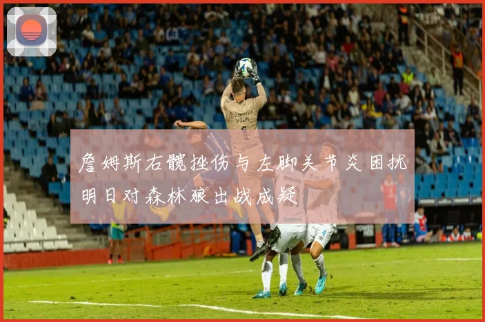 詹姆斯右髋挫伤与左脚关节炎困扰明日对森林狼出战成疑