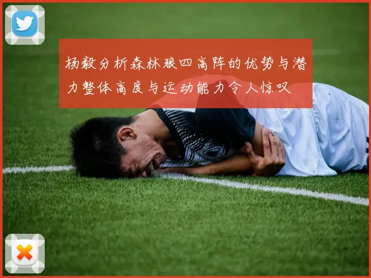 杨毅分析森林狼四高阵的优势与潜力整体高度与运动能力令人惊叹